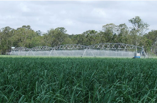 irrigators