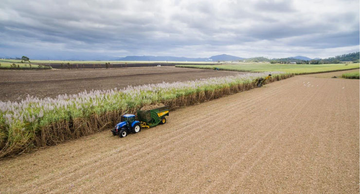 irrigators